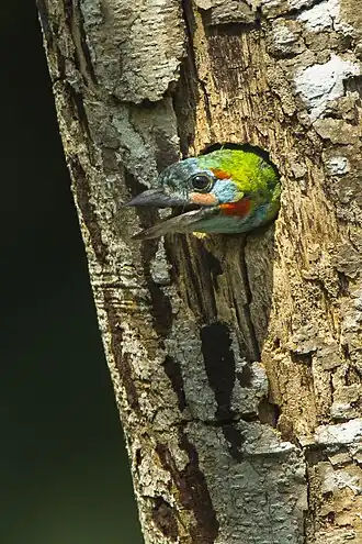 Description de cette image, également commentée ci-après