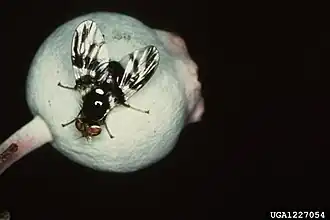 Description de cette image, également commentée ci-après