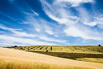 La campagne près de Constantine, en mai 2016.