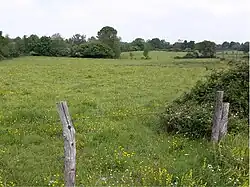 Photographie de champs présentant une structure bocagère.
