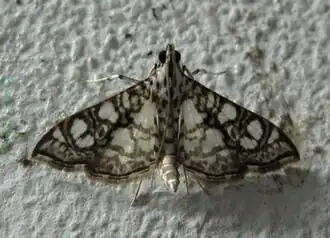 Description de cette image, également commentée ci-après