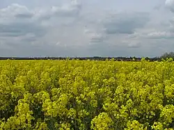 Vue générale depuis la route de Seboncourt.