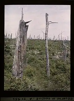 Collection Musée Albert Kahn(CC-BY-4.0)