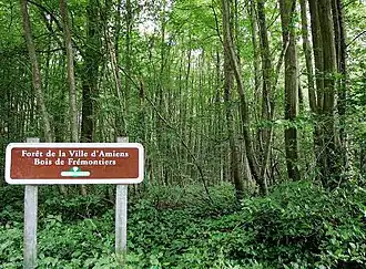 Image illustrative de l’article Bois de Frémontiers