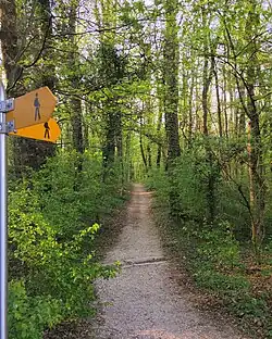 L'entrée du bois depuis l'avenue de la Foretaille.