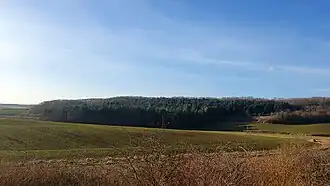 La pelouse calcicole « Sur la Vallée Douard », donnant vu sur bois.