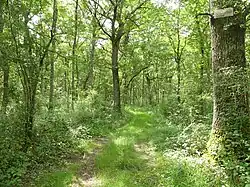 Le même site en été.