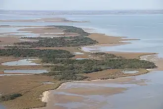 Image illustrative de l’article Bois des Rièges