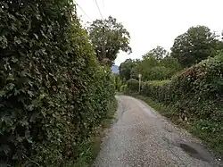 Route du bois des Vouillants.