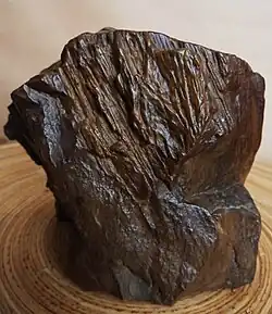 Bois pétrifié, région de Timimoun.