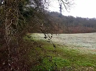 Image illustrative de l’article Boisement humide de La Boisse