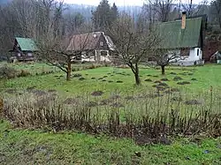 Photographie d'un verger envahi de taupinières au milieu d'un hameau.