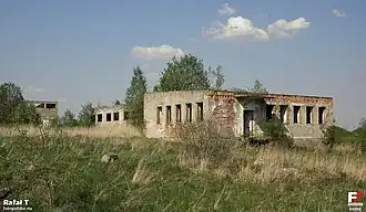 Bolęcin (Przysucha)