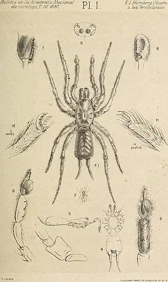 Description de cette image, également commentée ci-après