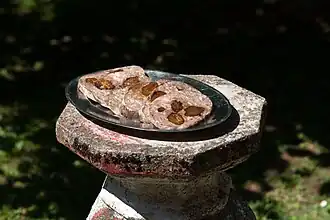 Bonèt d'Amay (tête pressée aux pruneaux).