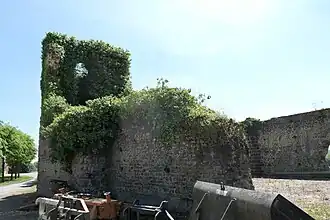 La nef côté mur nord.