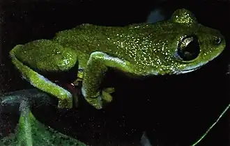 Description de cette image, également commentée ci-après