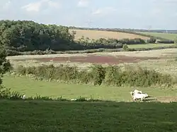 bord de Roanne : la tache brunâtre représente une pollution par « remontée » de saumure