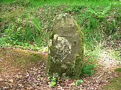 Borne royale en forêt de Cerisy à Montfiquet (Calvados).