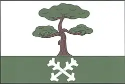 Drapeau de Borovnička