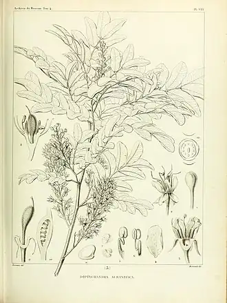 Description de cette image, également commentée ci-après