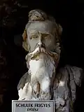 Buste du Pr. Frigyes Schulek (1841-1919) par Jenő Bory&nbsp;(en)