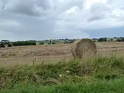 Boëseghem, le vallon de la Becque du Dah.