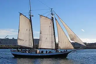 illustration de Liberty Clipper