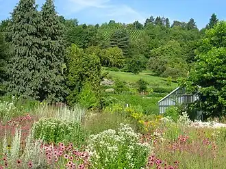 Image illustrative de l’article Jardin botanique de l'université de Wurtzbourg