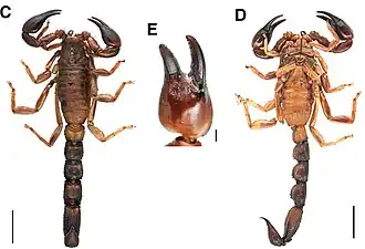 Description de cette image, également commentée ci-après