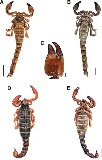 Description de cette image, également commentée ci-après