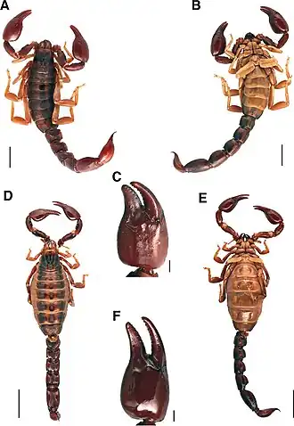 Description de cette image, également commentée ci-après