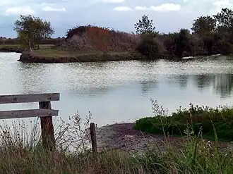  Photographie en couleur montrant un marais à Bouin en 2010.