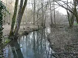 Le Boulou au lieu dit la Forge du Boulou.