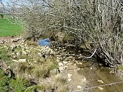 Près du lieu-dit les Brageaux, ZNIEFF du Boulou amont.