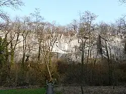 La falaise (site d'escalade) de la Forge du Boulou se dresse à l'est du Boulou, qui coule au niveau du rideau d'arbres.