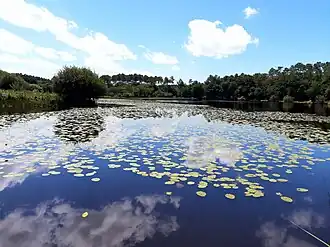 Image illustrative de l’article Étang de Bourg-le-Vieux