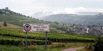 Image illustrative de l’article Bourgogne hautes-côtes-de-nuits