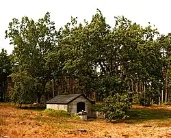 Petit bâtiment avec une forêt à l'arrière-plan.