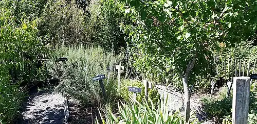 Jardin médicinal, dit jardin de simples