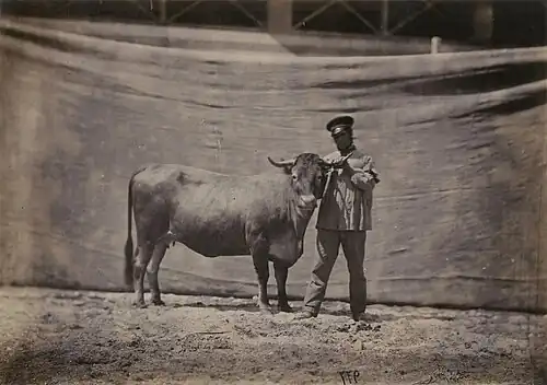 Une photographie de l'album du Concours agricole universel de Paris, 1856.