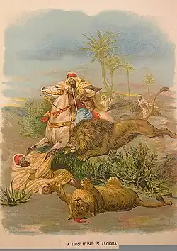 Une Chasse aux lions en Algérie (Boys' Hunting Book, 1890).