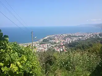 Görele