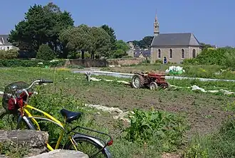 Jardinage, Île-de-Bréhat, 2009.