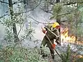 APFM protégeant les lisières d'un brûlage dirigé en forêt Domaniale des Maures en 2006.