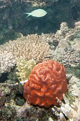 Description de cette image, également commentée ci-après