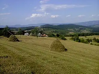 Brajkovac (Prijepolje)