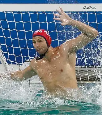 Image illustrative de l’article Branislav Mitrović