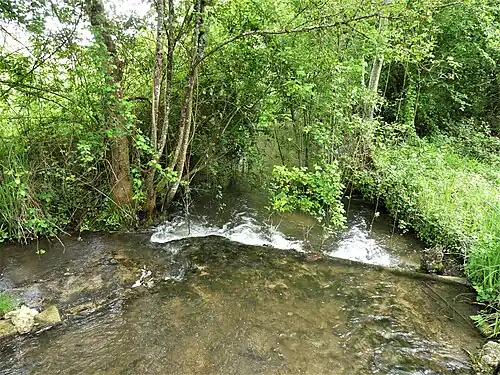 Bras de la Lizonne dans l'impasse du Canard Sauvage.