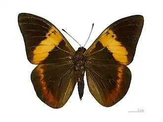 Description de cette image, également commentée ci-après